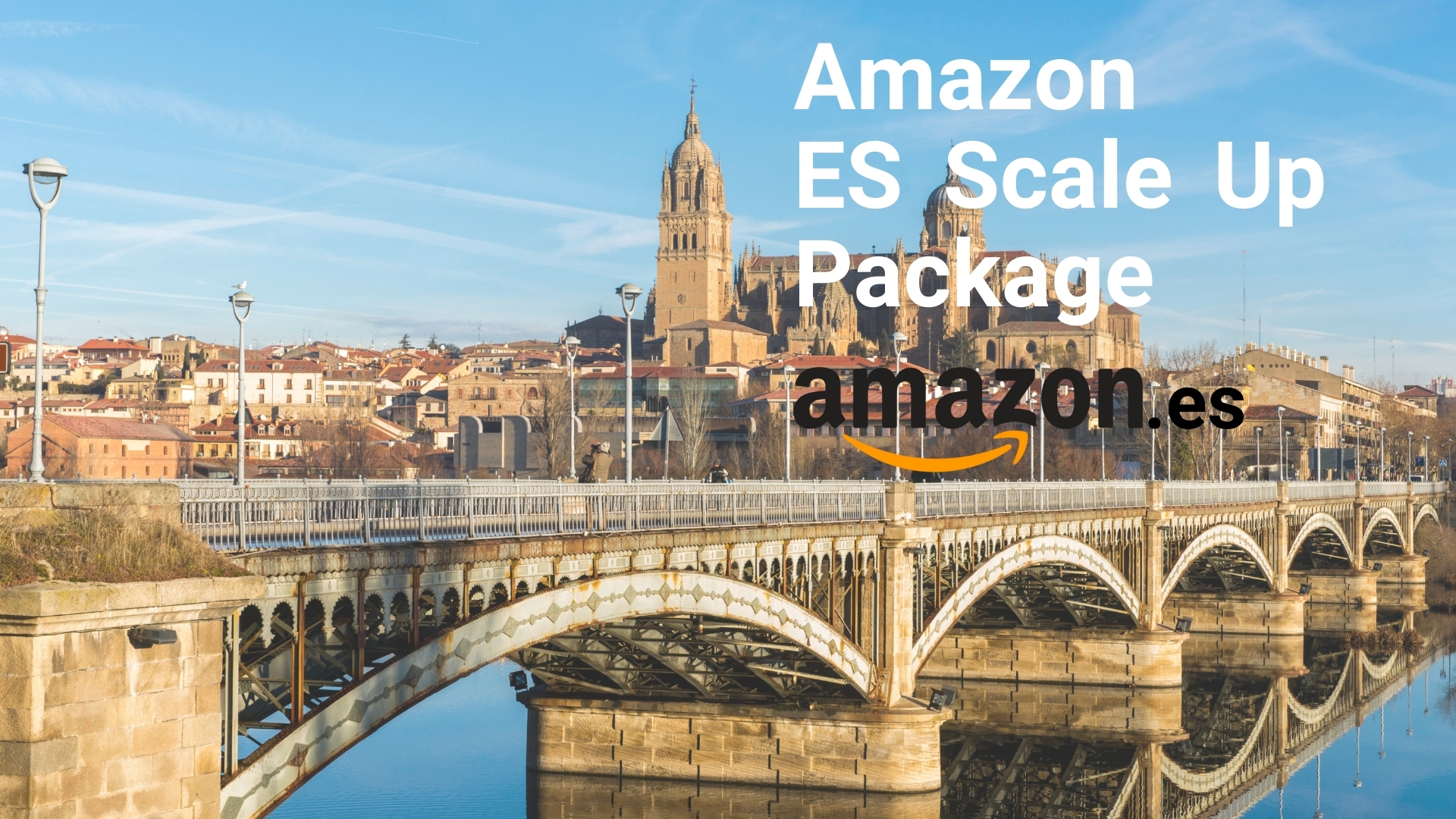 amazon private label and fba sales consultancy